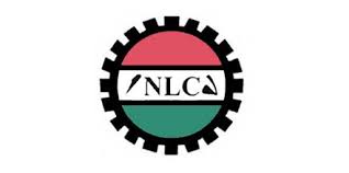 Can Civil Servants Join Politics? NLC Says Constitution Says Yes
