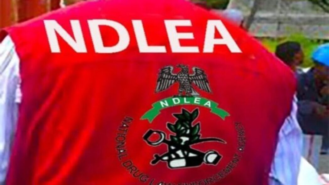 NDLEA Opens Vision Centre to Boost Staff Welfare, Partners Optometrists