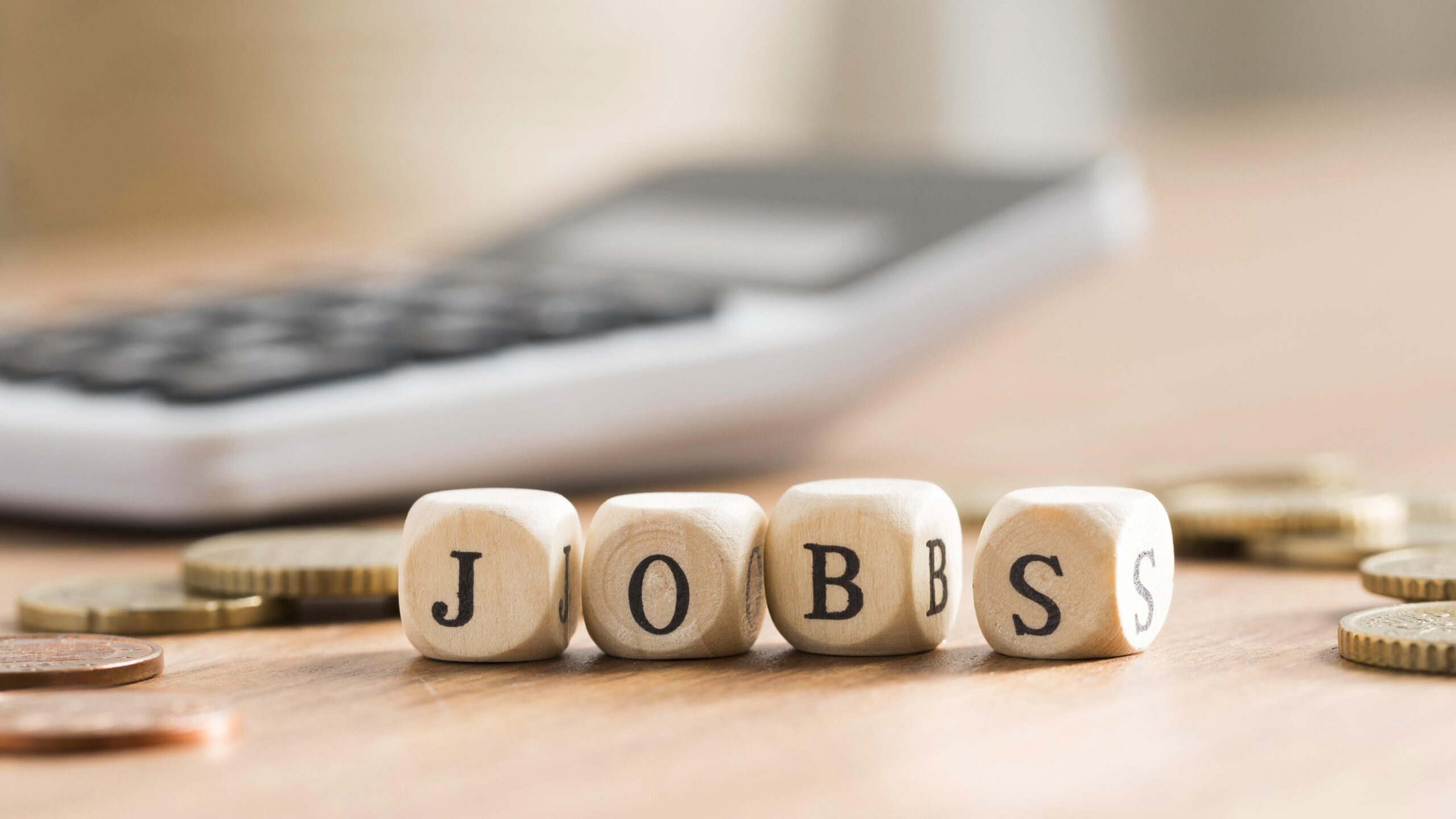NESG Urges FG to Create 27 Million Jobs by 2030 to Save Nigerians from Rising Unemployment