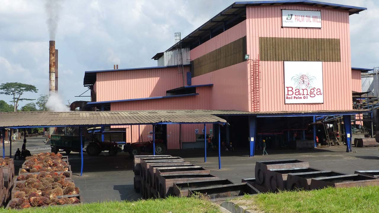 Okomu Oil Honours 82 Long-Serving Staff With Gifts and Cash Rewards