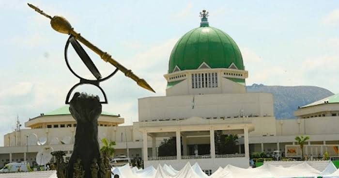 Court Rules National Assembly Wrongly Issued Early Retirement to Director